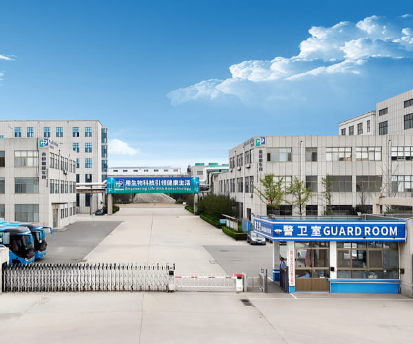 Industrial Production Facility